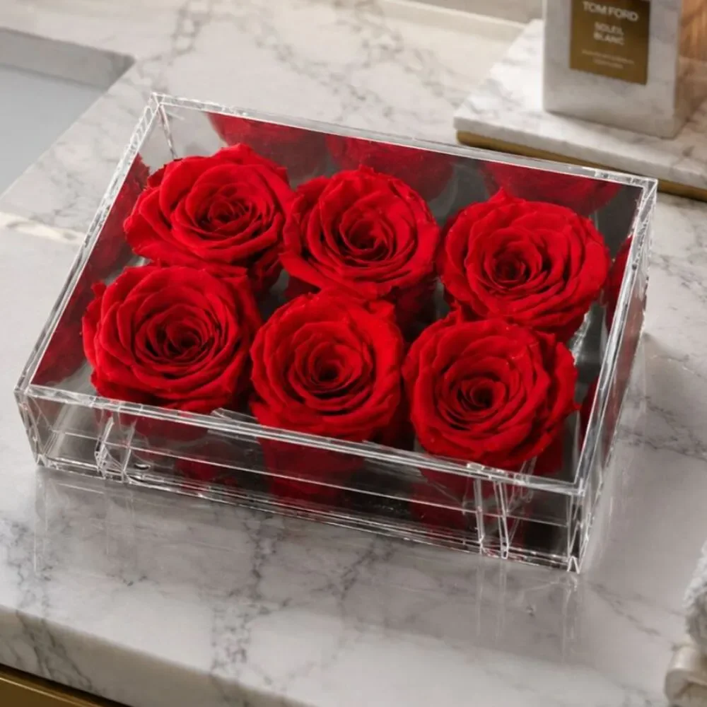 Preserved Red Roses (6) in Acrylic Display Box - New